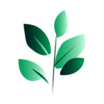 Plante Sensibilisation au développement durable et RSE chez EcoLearn