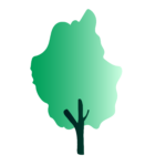 arbre Sensibilisation au développement durable et RSE chez EcoLearn